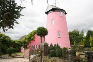 Pink windmill