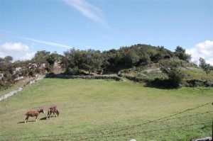  “Iron Age” hill top fort!